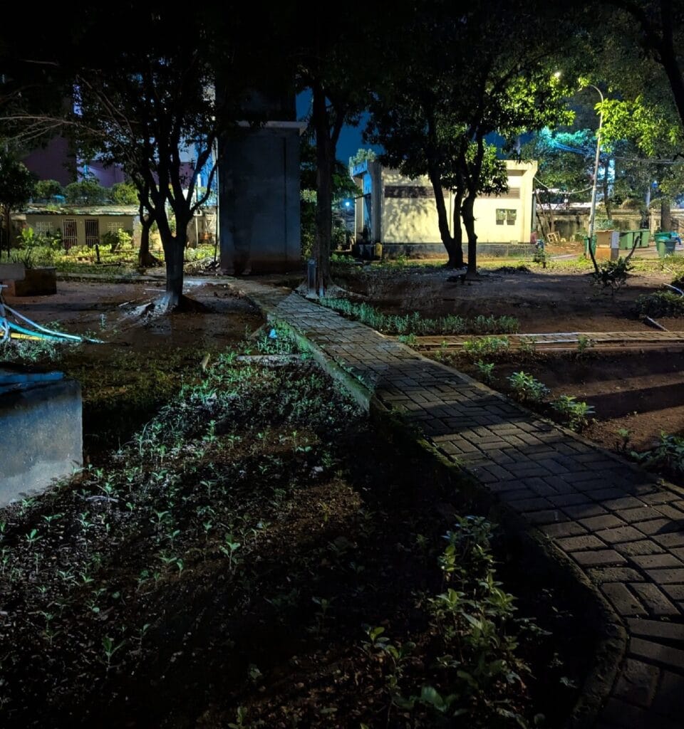 Early morning in Jakarta. Brick walkway with muddy soil with some greenery on either side. Small outbuilding with gated doors in the background.