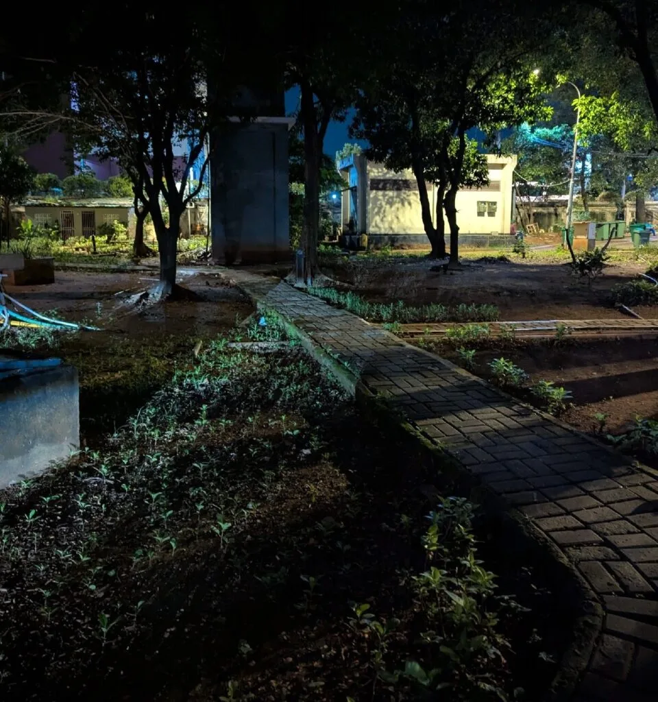 Early morning in Jakarta. Brick walkway with muddy soil with some greenery on either side. Small outbuilding with gated doors in the background.